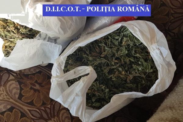 Ce captura de droguri au făcut polițiștii? Afla chiar acum, cum erau preparate substanțele interzise!